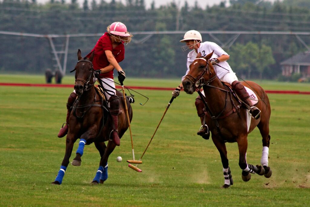 The Elite World Of Polo: A Beginner'S Guide