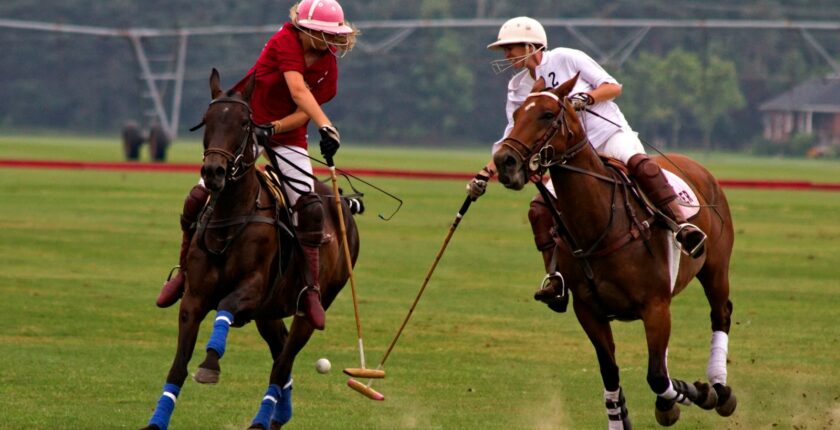 The Elite World Of Polo: A Beginner'S Guide